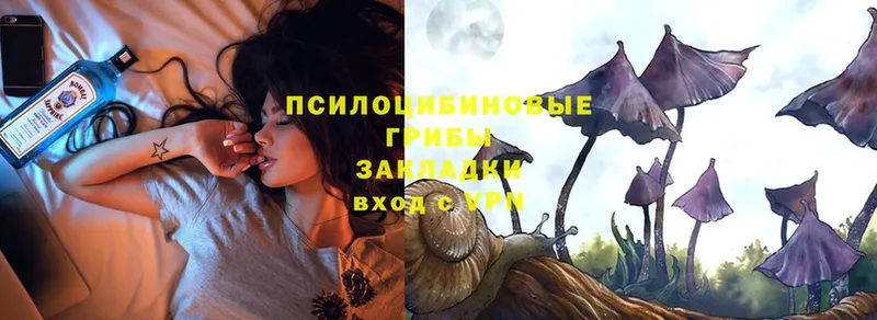 купить закладку  Иланский  Псилоцибиновые грибы Psilocybe 